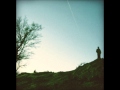tall firs - blue in the dark