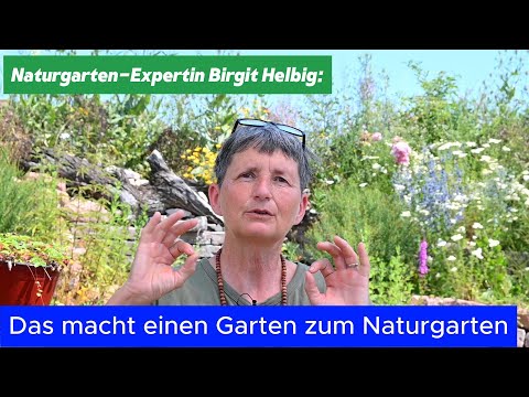 Join in! Natural garden expert Birgit Helbig: Natural gardens