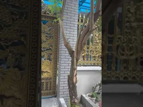 công trình cửa cổng  đường vườn thơm , bình chánh