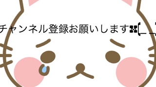 タダラヨ【ゲーム実況】 のライブ ストリーム