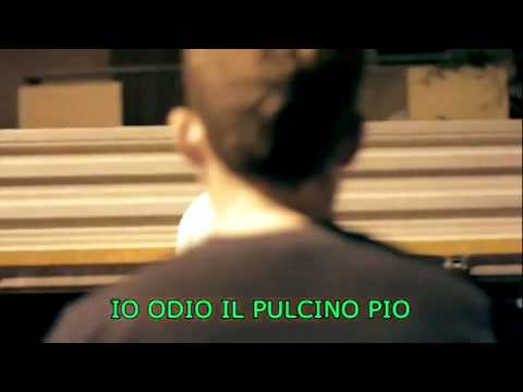 io odio il pulcino pio