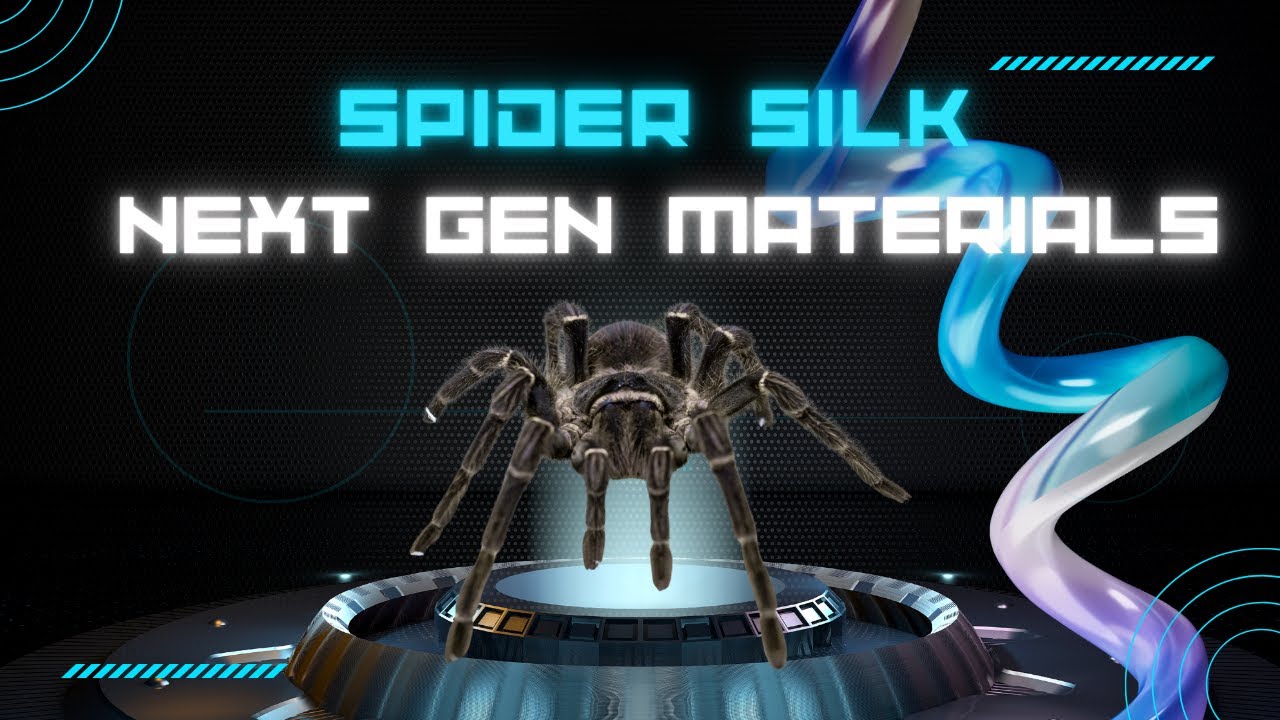 Spider Silk Biopolymer Video Thumbnail