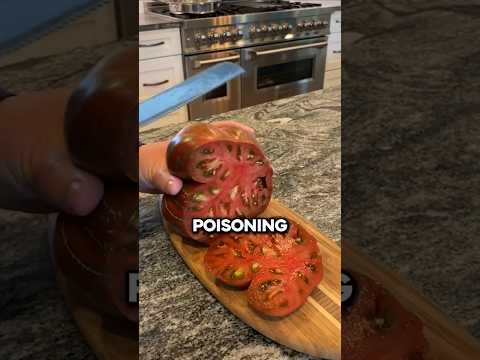Geschichte der Tomate🍅