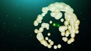 How Nano-Cocoons Might Change The World