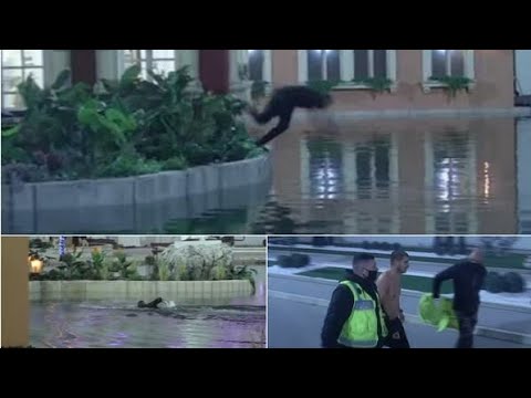 DEJAN SE BACIO U JEZERO! NAPUSTIO IMANJE na kom su svi zadrugari, OBEZBEĐENJE ODMAH REAGOVALO!