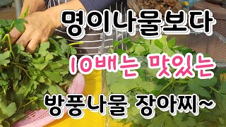 풍에 좋다는 방풍나물 장아찌 아주 특별한 짱아지 매력  간단히 만들기