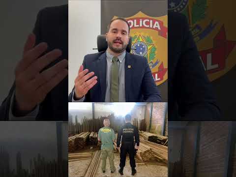 Operação Woodtrack combate desmatamento e invasão de terras no Ceará