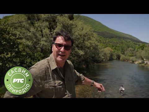 Sasvim prirodno: Bistro na vodi (Jovan Memedović)