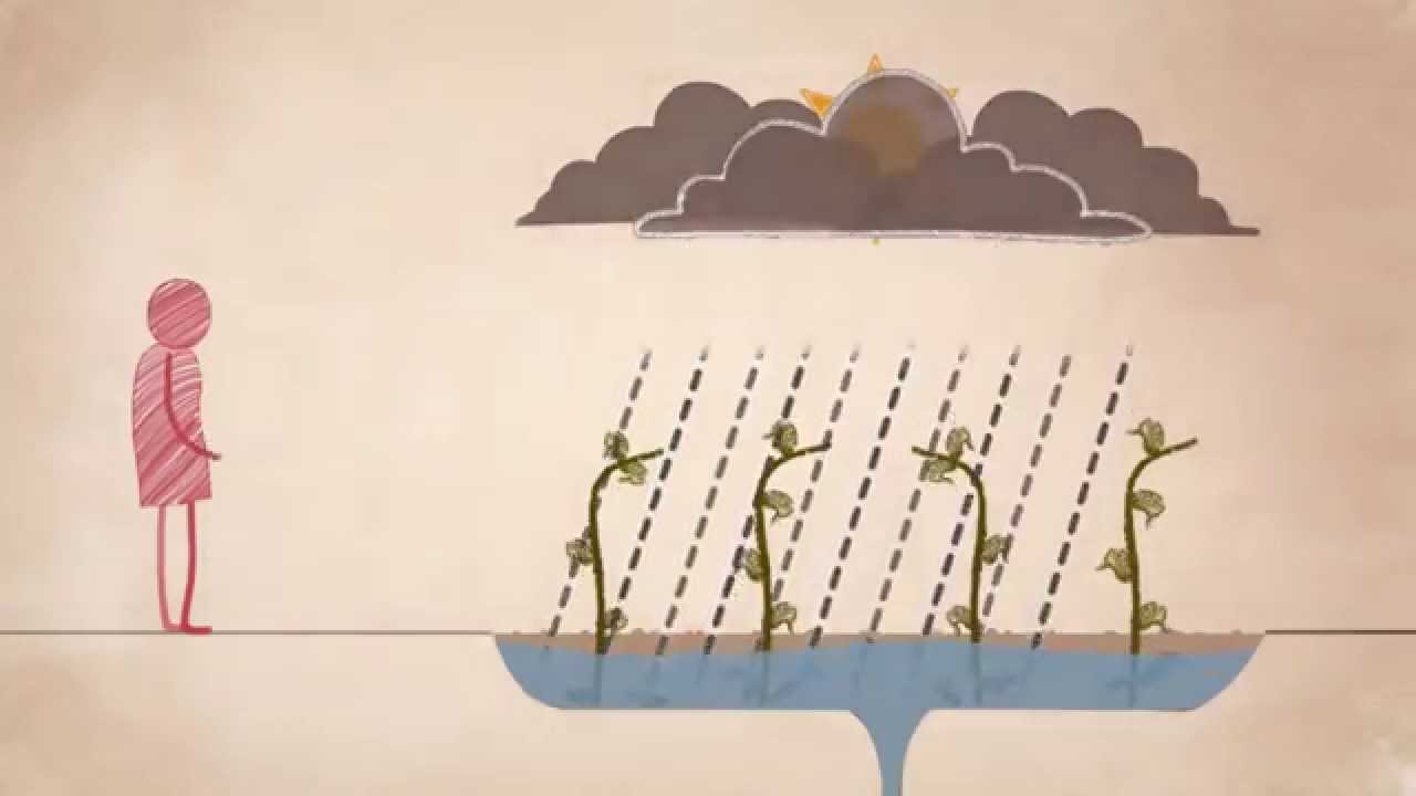 Resilience: Anticipate, organise, adapt