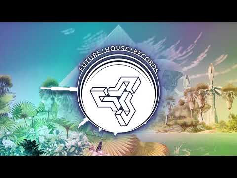 Robin Tayger & Henry Breco - Run