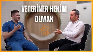 Veteriner Olmak Zor mu? Dersler, Staj, Maaş ve Klinik Açma.