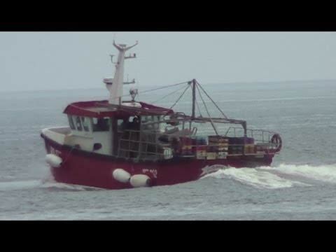 Rosslare Harbour, Europort