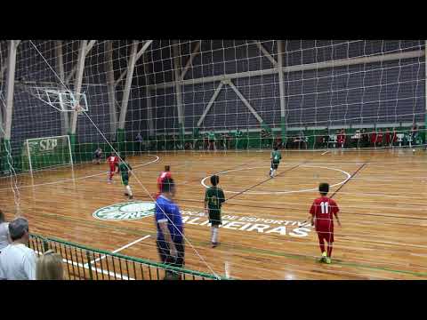 Palmeiras X Helvetia