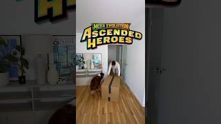 *Ascended Heroes Restock* #pokemontcg #restock #unboxing #ownbusiness