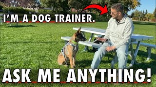 ‼️I’m a Dog Trainer. Ask Me Anything!