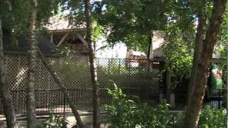 Remnants of the Big Bad Wolf and Drachenfire at Busch Gardens Europe