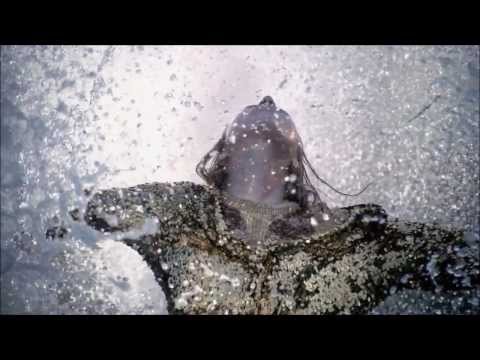 Crossfire - Free Of Loneliness