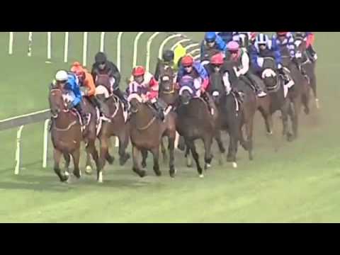 2015.10.31 Charity Mile (RSA) - Bouclette Top