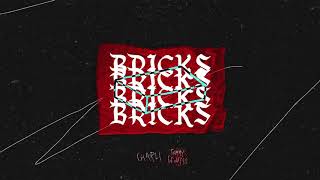 Bricks Music Video