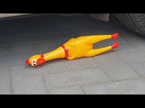 Crushing Crunchy & Soft Things by Car! EXPERIMENT CAR VS + The dog's reaction