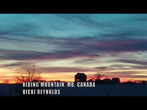 February Morning Drive - David Francey