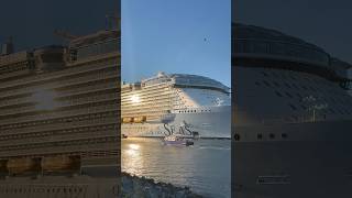 Utopia of the Seas Horns! | Port Canaveral | 12/12/25