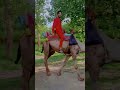 Meri Dachi De Gal Wich Taliyan Sultan Ateeq Mianmuhammadbakhsh Kalam