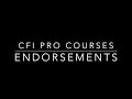 Log Book Endorsements For The CFI Check Ride