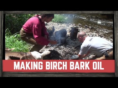 Make your own BIRCH BARK OIL | BILLY RIOUX ADVENTURER