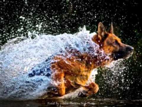 oCeaNs Four & aDaM CLaY beautifull