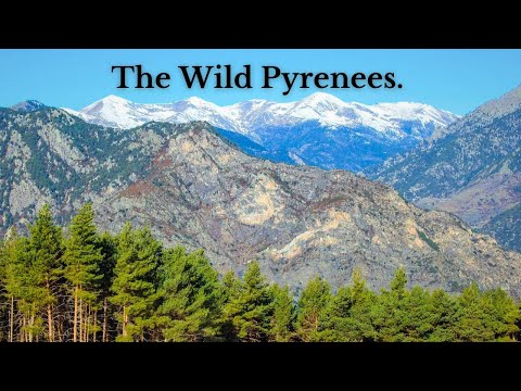 Solo Hiking The Pyrenees Mountains In Andorra 🇦🇩