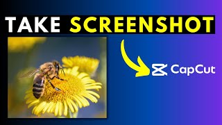 How to Take Video Screenshots in CapCut for Windows PC - Export Still Frame in CapCut