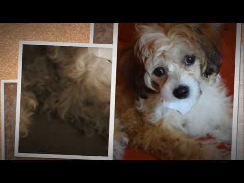 Detki podrosli) 16_06 (Music Kick Ass (OST Version) by Mika Vs Redone)