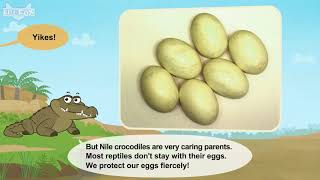 L2 003 Meet the Animals 3 Nile Crocodile