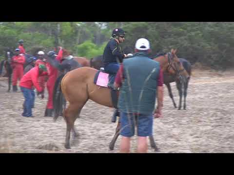 CAPTAIN AMERICA ROCKS