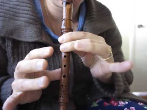 1-19 Sopranino Recorder Lesson, Suzuki Book 1: Allegro