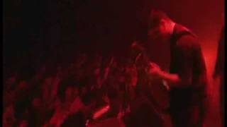 The Music - Freedom Fighters (Welcome to Japan DVD)