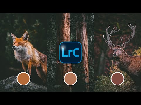 How To Edit A Rustic Autumn Faded Look Using Lightroom Classic
