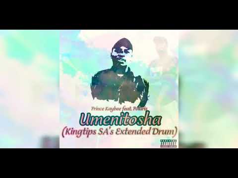Prince Kaybee feat. Polaris - Umenitosha (Kingtips SA's Extended Drum Remix)