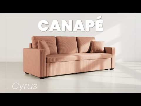 Miniature de la vidéo YouTube