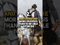 Napoleon's Most Badass Quotes (Part 3), Third one is straight facts