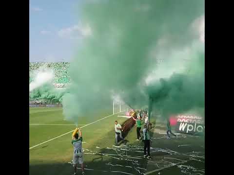 "Los del sur Atlético Nacional en el clásico vs independiente Medellín 29-02-2020" Barra: Los del Sur • Club: Atlético Nacional