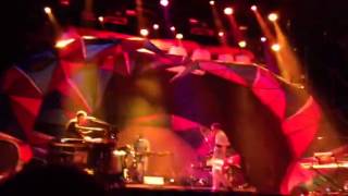 Monkey rich animal collective primavera sound