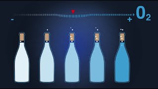 Diam Technology Eliminates Wine Cork Taint and Controls Oxygen and Time During Winemaking Process