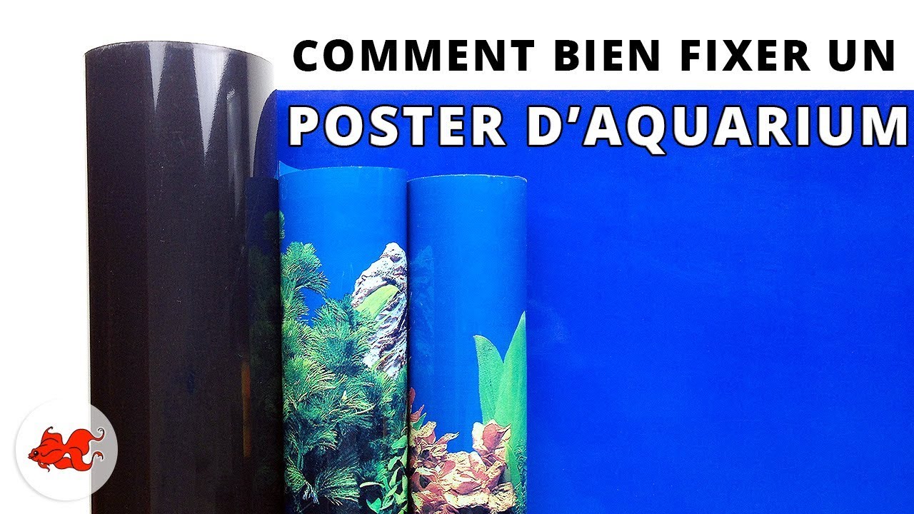 Fixer un poster de fond d'aquarium