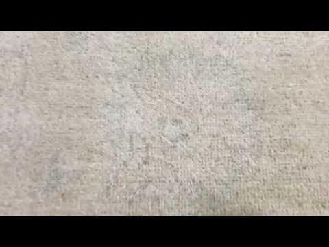 Large Light Blue-Gray Pakistan Peshawar Oriental Rug 8X9'7 - AT 545