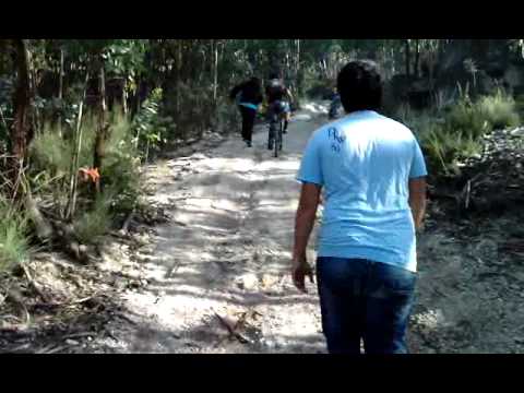 bino e rato cruz do capitao