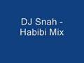 DJ Snah - Habibi Mix 