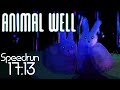 Animal Well NMG Speedrun - 17:13 (now with cursed strats)