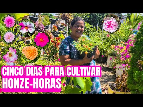 FLOWERS ALL YEAR ROUND! Five ways to have beautiful, blooming springs | tips for coloring your ba...